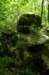 _2067_small.jpg
