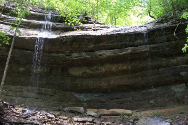 neverseenfalls.jpg