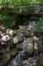 oldrailroadbedtrail_small.jpg