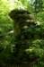 pulpitrock_small.jpg