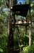 treehouse_small.jpg