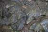 _2290_small.jpg