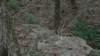 _2584_small.jpg