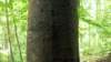 _2842_small.jpg