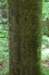 _2848_small.jpg