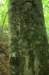 _2901_small.jpg