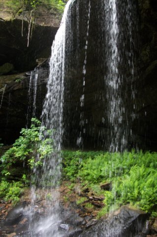 _3350.jpg