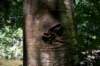 _3395_small.jpg