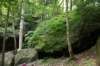 _3462_small.jpg