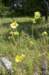 _3854_small.jpg