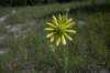 _3861_small.jpg