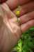 _3877_small.jpg