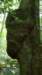 _4168_small.jpg
