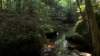 cliftycreek_small.jpg