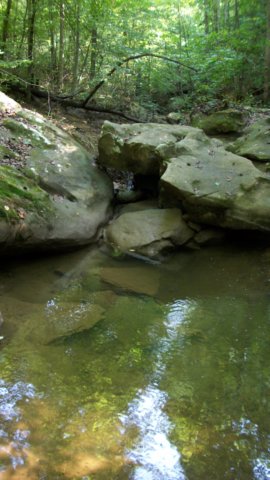 http://www.weathermansam.com/photos/2010p/082110mossrock/_4232.jpg