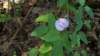 _4291_small.jpg