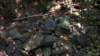 droppedmycamerainthecreekinthisspot3yearsago_small.jpg