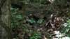 oldstill_small.jpg