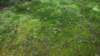 _4930_small.jpg