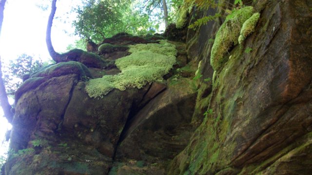 _4973.jpg