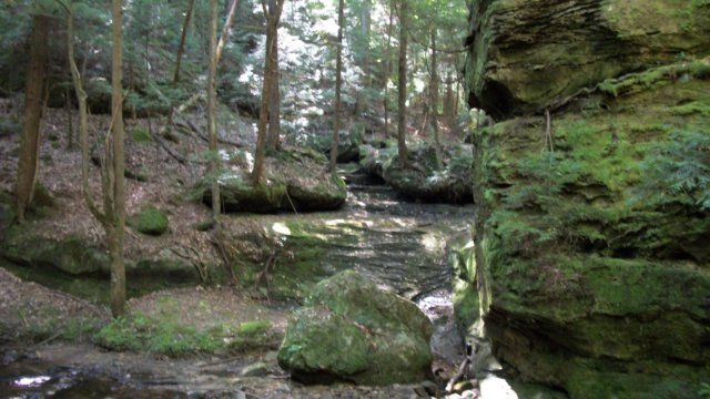 drycascadesidecreek.jpg