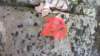 _5794_small.jpg