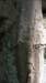 _5797_small.jpg