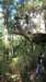 _5798_small.jpg