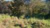 _5901_small.jpg