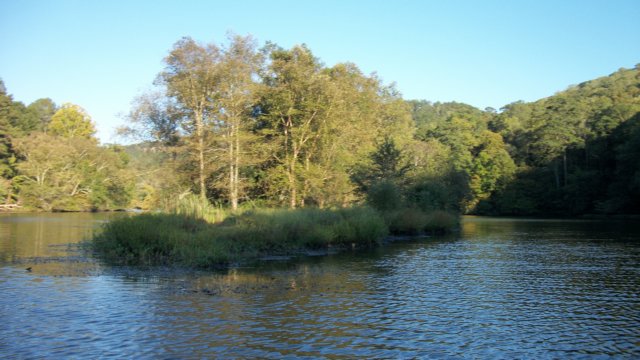 _5905.jpg