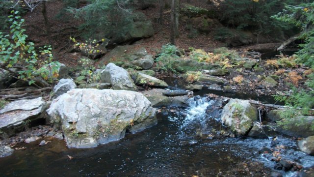 _6540.jpg