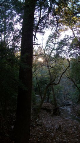 sunrise.jpg