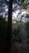 sunrise_small.jpg