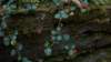 _7163_small.jpg