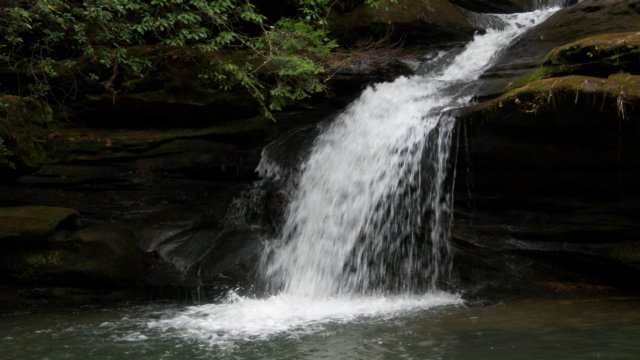 _7182.jpg