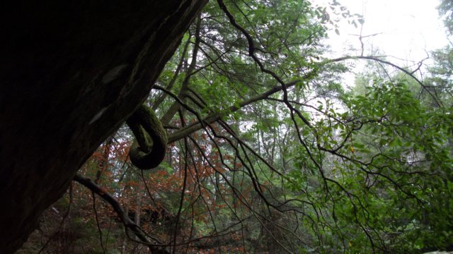 _7191.jpg