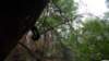 _7191_small.jpg