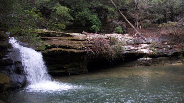 _7195.jpg