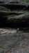 _7205_small.jpg