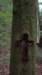 _7206_small.jpg