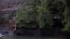 _7242_small.jpg