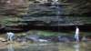 _7358_small.jpg
