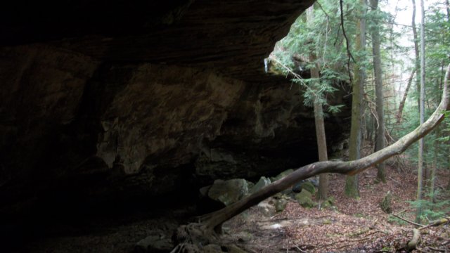 http://www.weathermansam.com/photos/2010p/121110bankhead/_7409.jpg