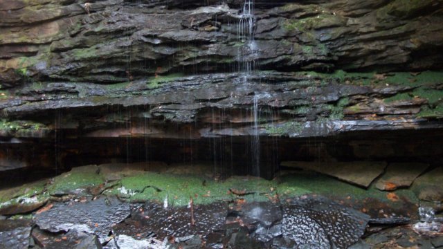 http://www.weathermansam.com/photos/2010p/121110bankhead/birdmanfalls.jpg