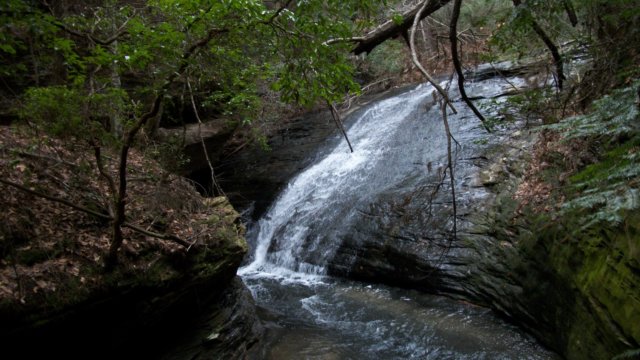 upperpaynecreekcascades.jpg