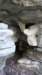 cave1_small.jpg