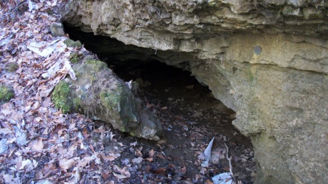 cave2.jpg