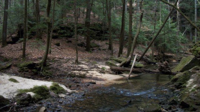 _0653.jpg