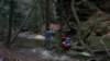 _0655_small.jpg