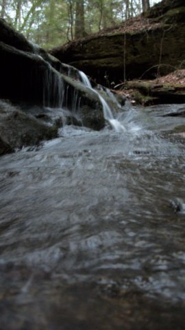 _0664.jpg